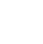 Analytical Strategies