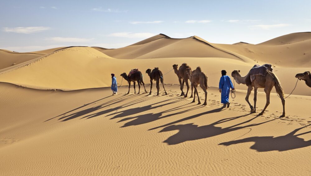 الهجرة: أنا مواطن من هذا العالم