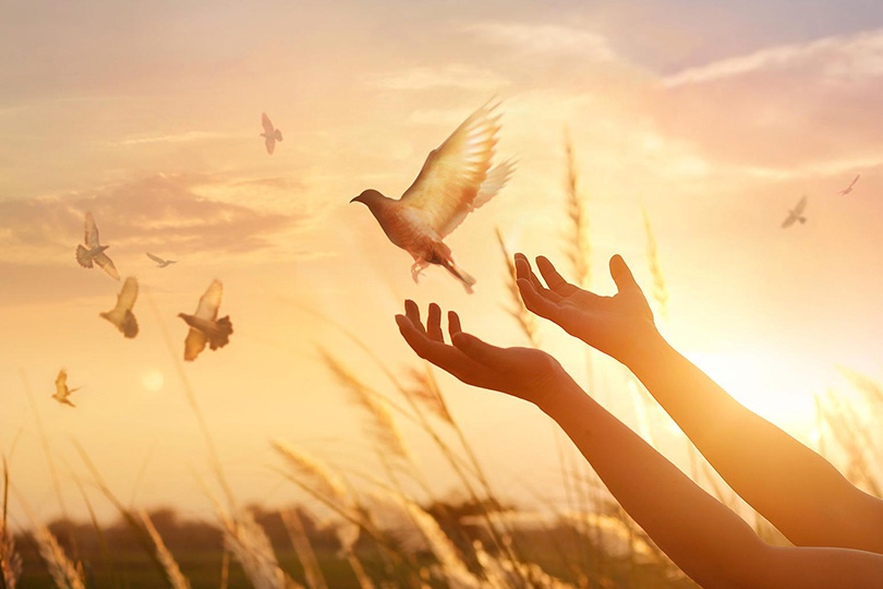 قبل أن يكون "اللاعنف".. كان "الدين"